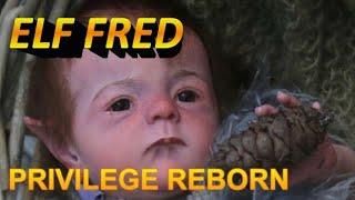 Reborn Baby Doll FUN with ELF FRED BY PRIVILEGE REBORN