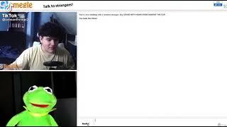 Kermit Cums