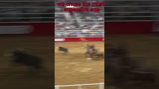 Yes I do know F1 racing is more expensive #horse #money #viral #fyp