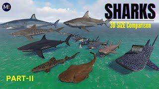 Shark SIZE Comparison  (Updated- Part II) || Smallest to Largest Sharks in the world EVER Existed