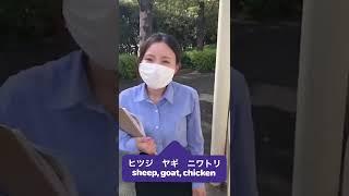 【Learn Japanese in 30s #310】～Walking around TLS #行船公園～” sheep, goat, chicken/ヒツジ・ヤギ・ニワトリ”