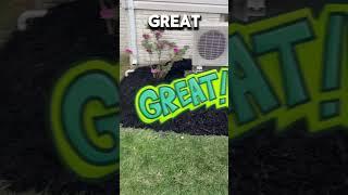 Who was in the wrong? #lawncare #landscaping #storytime