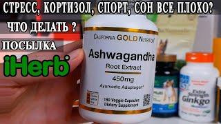 Адаптогены, Гинкго Билоба, Валериана, Ашвагандха, Эхинацея, Витамины и пробиотики для собак.