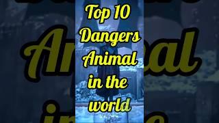 Top 10 dangerous animals in the world 