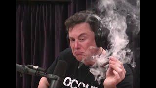 Donald Trump Says Goodbye to Elon Musk | Drug Use Claims Surface