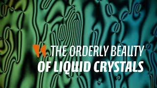 The orderly beauty of liquid crystals