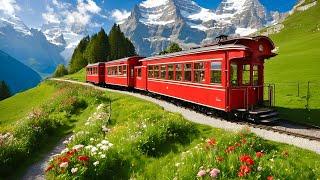 Switzerland’s Mountain in Spring Time , Schynige Platte Wilderswil 