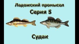 Русская Рыбалка 3.99 (Russian Fishing) Ладожский промысел 5 - Судак