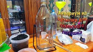 Аквариум в бутылке