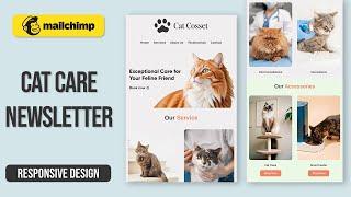 Cat care Mailchimp Email Newsletter 2024 | Responsive Email Template