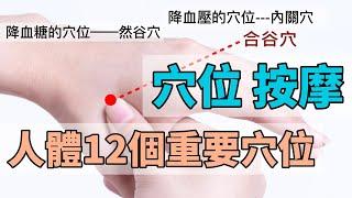 人體12個重要穴位｜按摩保健養生｜常按摩好處多多