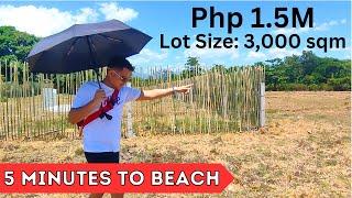 Titled ( TCT ) Lot for sale Near Beach | National Highway | LFS 129 | Property Tour