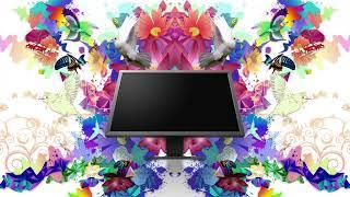 ColorEdge CG2420 and CS2420 Monitors | EIZO India | ProScreen