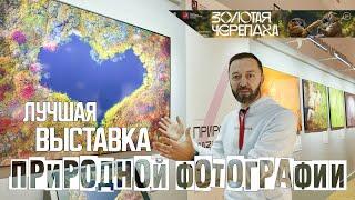 Лучшая выставка природной фотографии в России | зачем ходить, что можно увидеть?