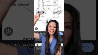 Understanding nasal anatomy and how light/shadows hit our face helps us with makeup techniques 