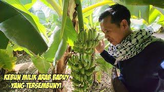 KAMPUNG ARAB BADUY JAUH DARI KOTA DAN KERAMAIAN