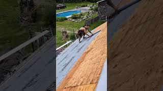 installing roofing underlayment working hard #diy #homeimprovement #construction