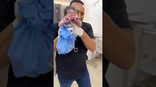 #newbornarrival #newbirth #baby #newborn