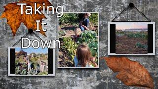 End of Garden: This is for you Bunky
