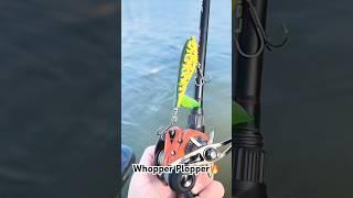 Best Lures For Fall Bass Fishing