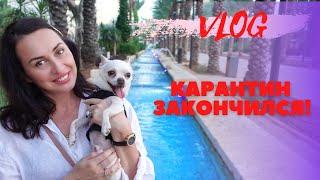 VLOG Сдала тест. Жизнь в Израиле 2021. #иренсигал #израиль