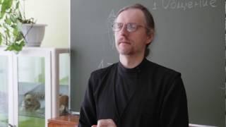 Константин Сабельников о любви полная версия