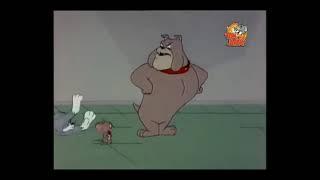 Том и Джерри на русском || Новая серия Тома и Джерри || Tom and Jerry