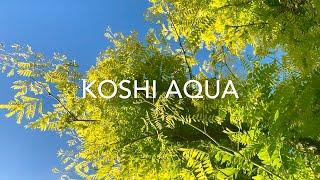 KOSHI CHIMES | Koshi Aqua Tuned Wind Chimes | Koshi Bells Meditation Music (2020)