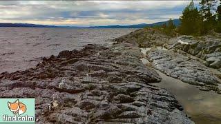 NORWAY (Unintentional) ASMR #1  Peaceful Lakeside Walk through Beautiful Windy Forest