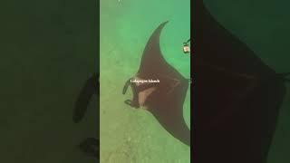Family Travel in the Galápagos Islands