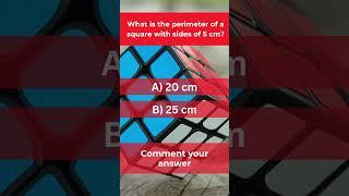 What's the Perimeter? #shorts