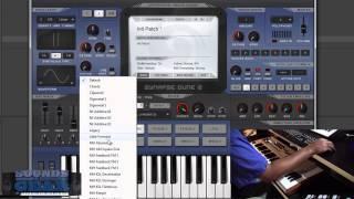 Check It Out: Synapse Dune 2 Voice & Oscillator Section - SoundsAndGear.com