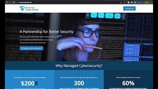 Avanza |  Business Cyber Shield Landing Page Demo