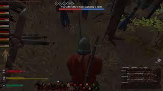 Life is Feudal MMO:  A Relatively Boring Instanced Battle.