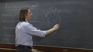 PHYS 102 | Magnetism in Matter 6 - Ferromagnetism