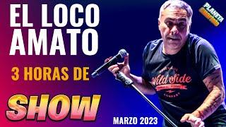 El Loco Amato - En Vivo (Marzo 2023)