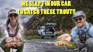 CAMPING OUT OF MY CAR to FLY FISH for WILD BROWN TROUT in DRIFTLESS WISCONSIN | 4RUNNER Adventure