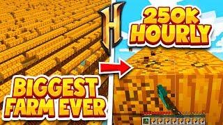 Hypixel Skyblock - THIS *SIMPLE* PUMPKIN FARM MAKES $250K AN HOUR!!!!