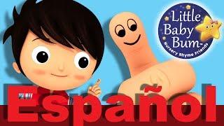 ¿Dónde está el pulgar? | Canciones infantiles | LittleBabyBum