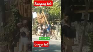 CANGGU BALI MEMANG DIKENAL KAMPUNG BULE#shots #infobali #