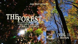 The Forest Chill Lounge Vol.11(Deep Moods Music With Smooth Ambient & Chillout Tunes) MixTape (HD)