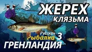 Жерех Клязьма /  РР3 [ Русская рыбалка 3.9 Гренландия]