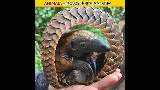 Animals जो 2022 के साथ खतम हो जाएंगे  | MsT Fact Wala | #youtubeshorts #shorts #viral