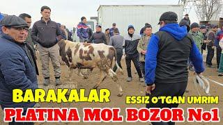 PLATINA MOL BOZOR BARAKALAR NARXLARI DAXSHAT MANA XAQIQIY NARX SAVDOGARLARNI XAQQI QOMADI