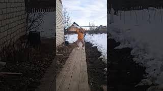 Вася ночка