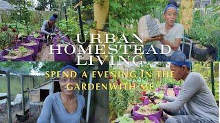 VLOG | Urban Homestead Living | Using Rabbit Manure | Exciting Chicken News | Failed Plantings