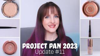 Project Pan 2023 - Update  11 | Vlogmas Day 1