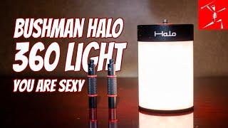 Bushman HALO 360 Light : THE BEST Light For 360 VR Creation , Exclusive NEW Product Plan in 2021