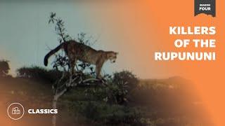 Killers of the Rupununi | Mutual of Omaha's Wild Kingdom