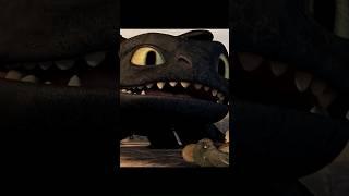 Toothless Teaches a Lesson!  One Fish, One Fight, One Friendship | How to Train Your Dragon 